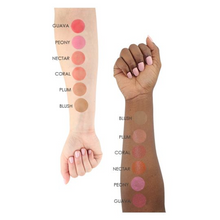 Cargar imagen en el visor de la galería, 6 Pack de rubores S/B de 1/4oz. (7.5ml.) *PRE-Order*