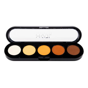 Paleta de 5 sombras