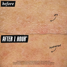 Cargar imagen en el visor de la galería, Holiday Must Have Value Set *PRE-Order*
