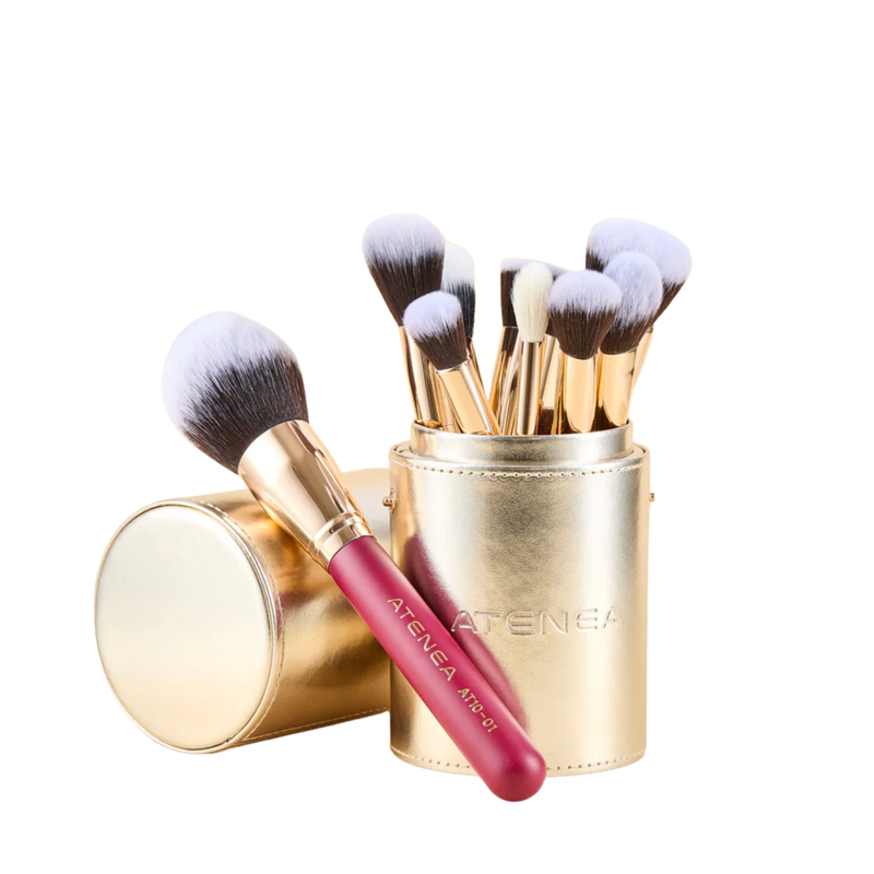 Kit de brochas Scarlet Rostro X 9