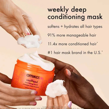 Cargar imagen en el visor de la galería, The Healthy Hair &amp; Scalp Kit *PRE-Order

